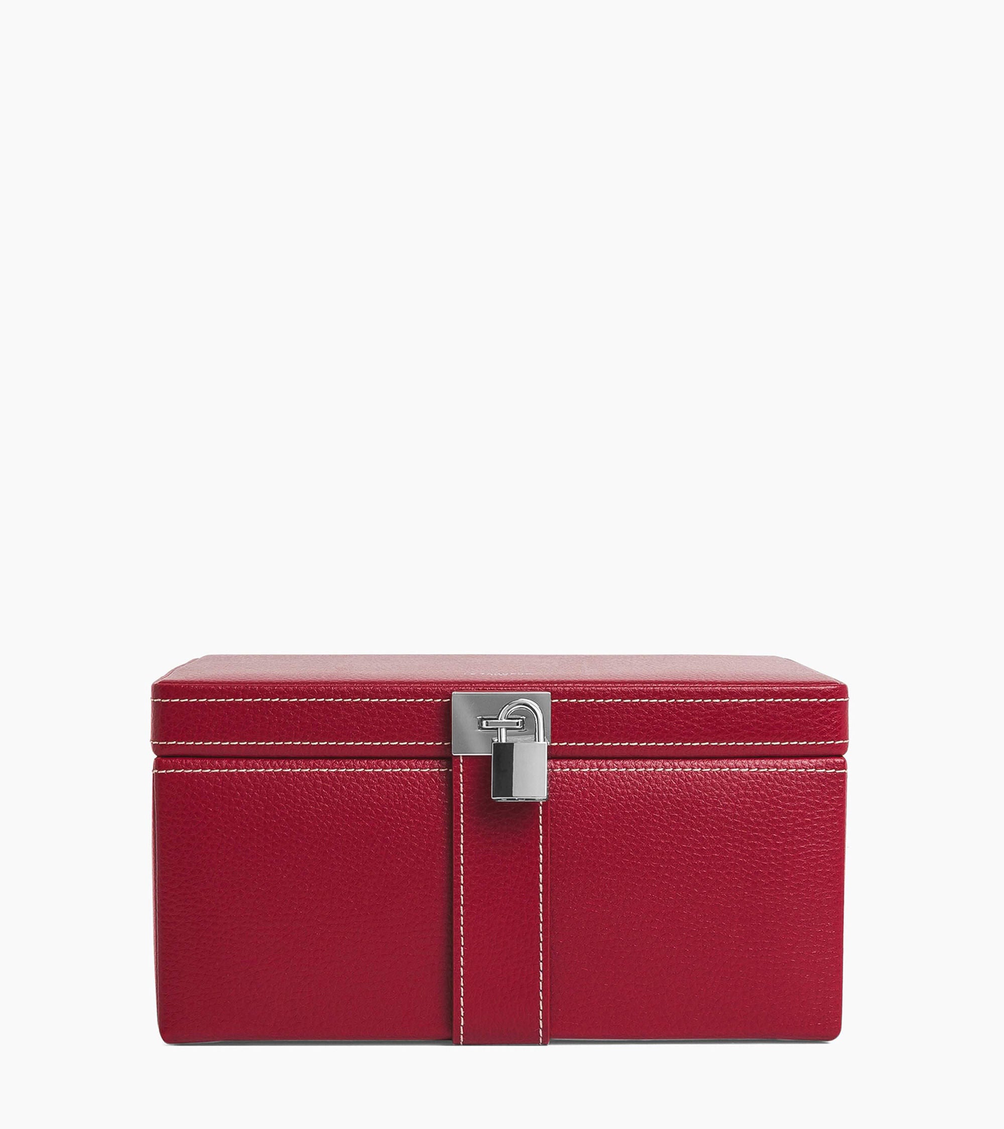 Large jewelry case